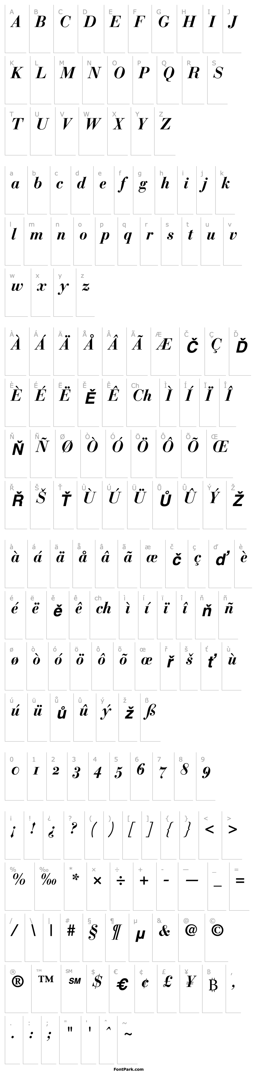 Přehled BauerBodoniOldstyleFigures-Bold Italic