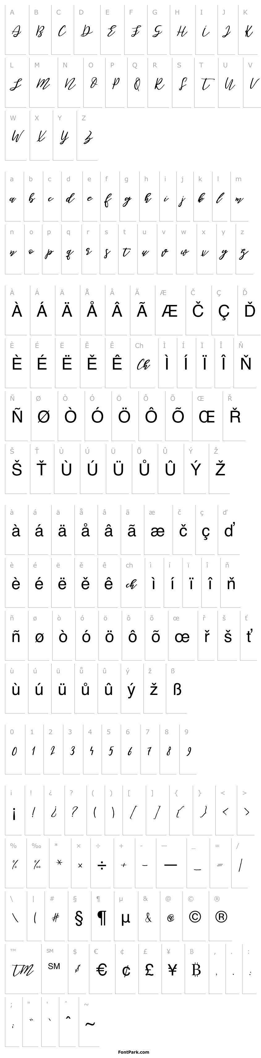 Overview Be Perky Regular