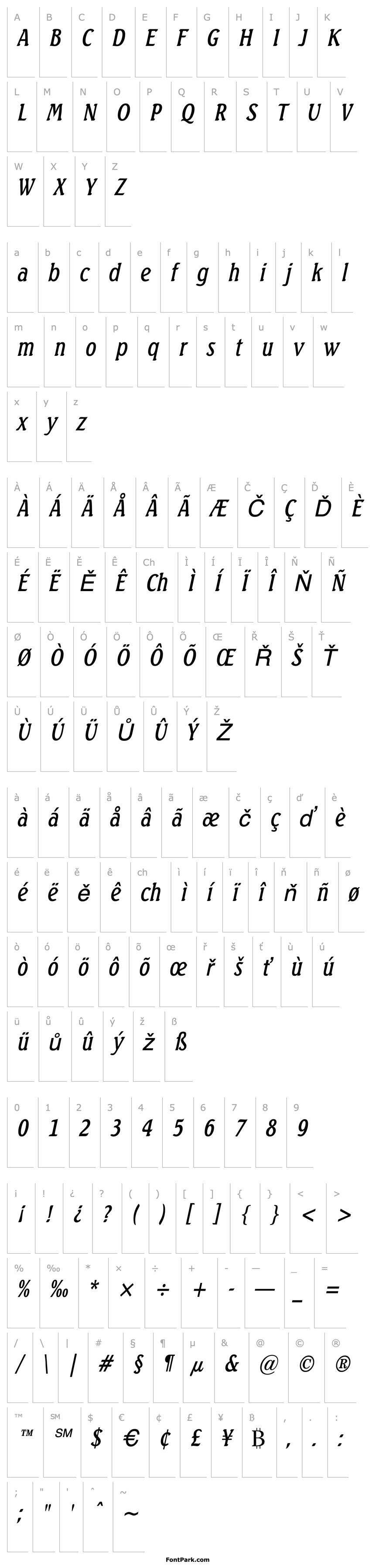 Přehled BeachCondensed Italic