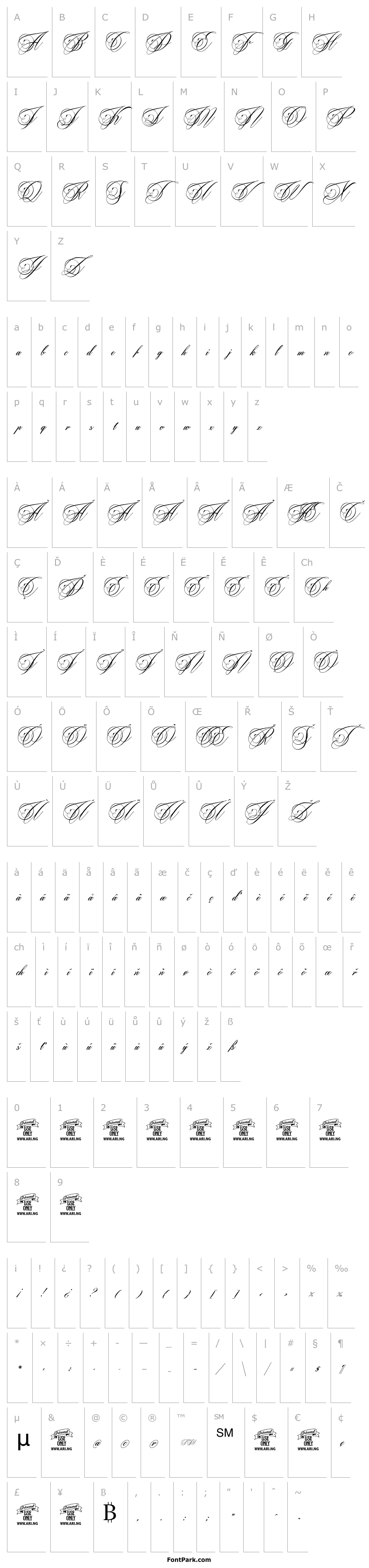 Overview Beaked Tyrant Personal Use