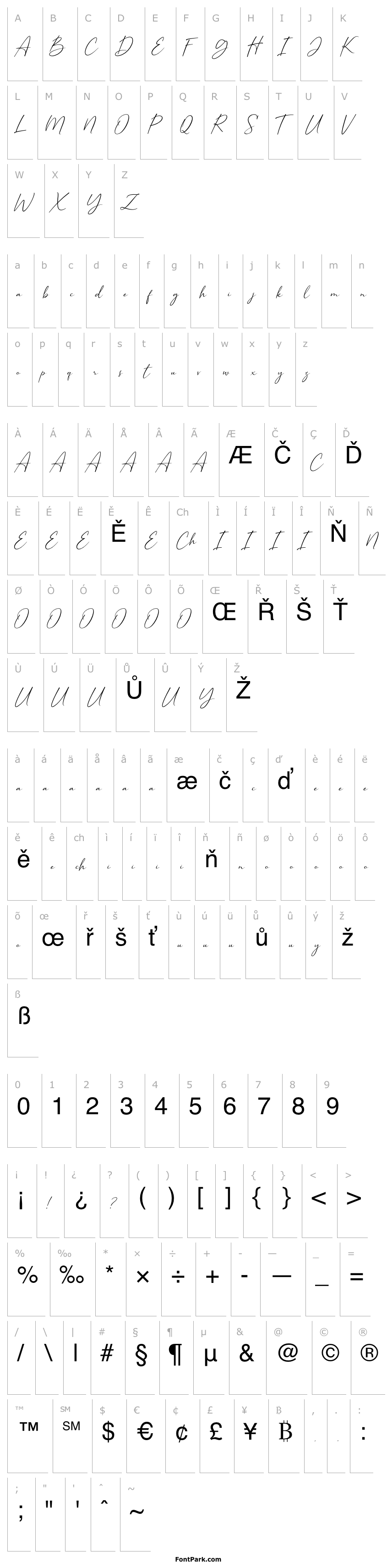 Přehled Beatlys DEMO