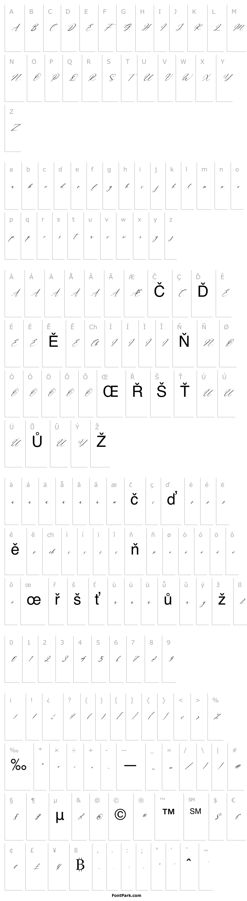 Přehled Beattrice Italic