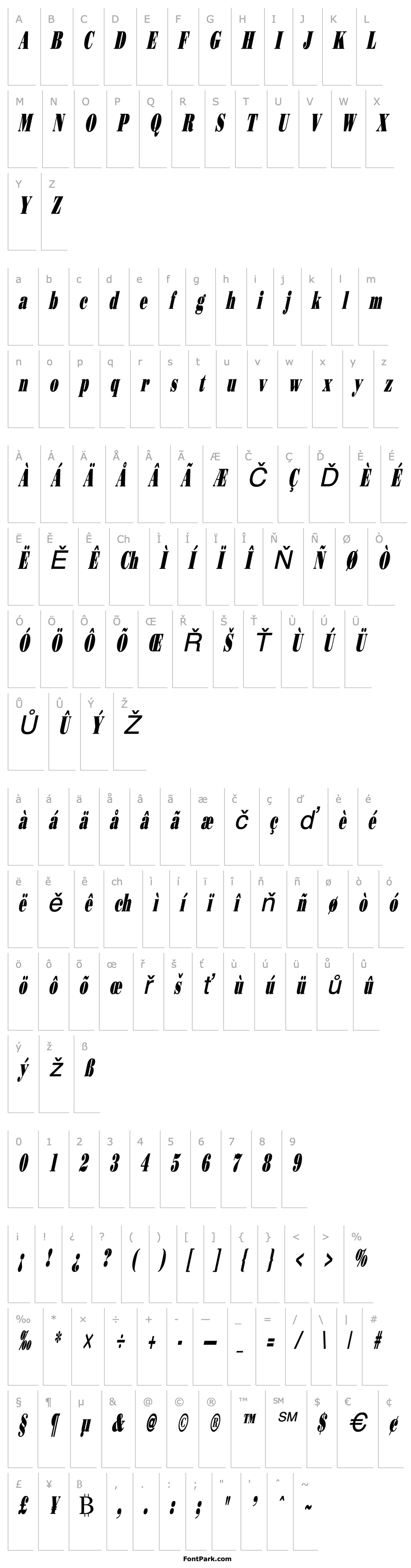 Overview Beau Thin Italic