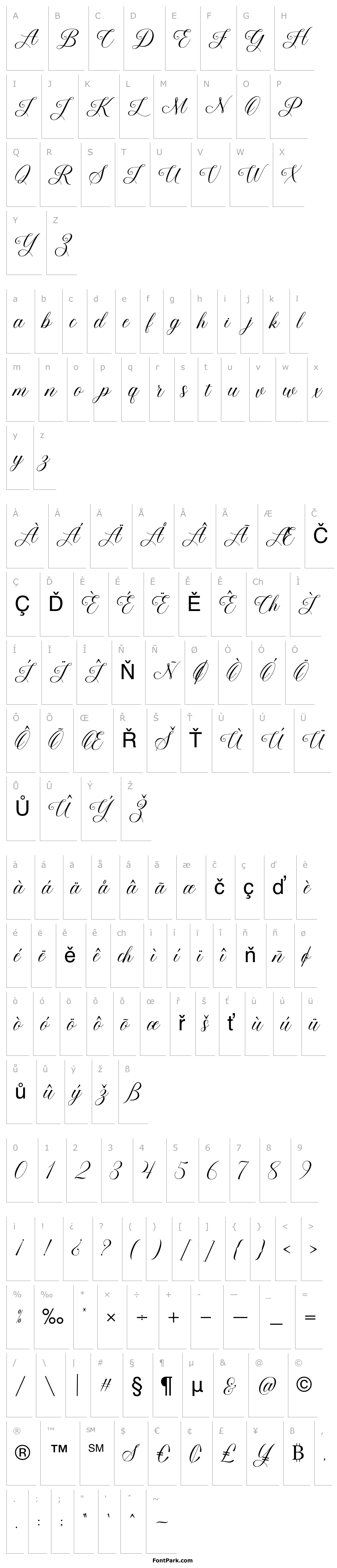 Overview BeautyQueenScript