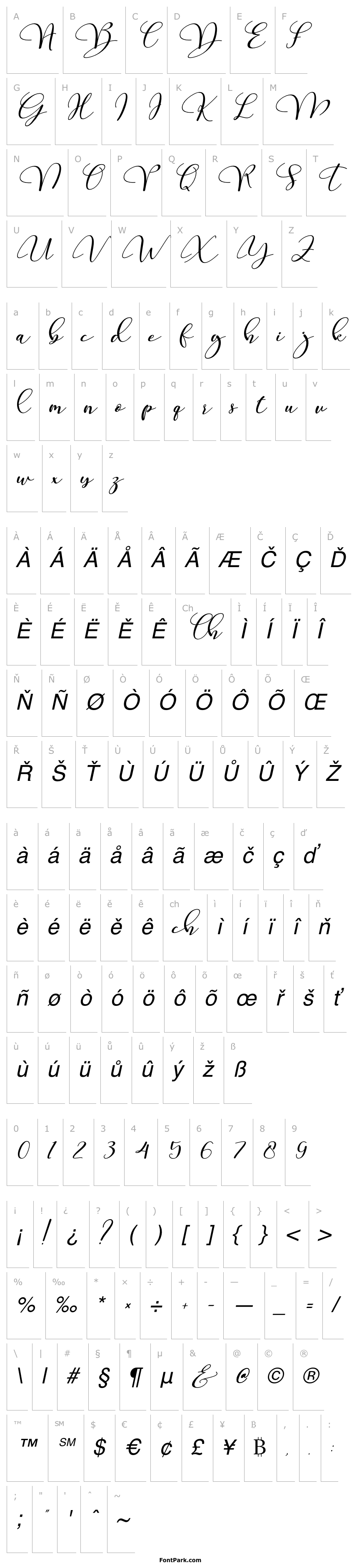 Overview being human Italic