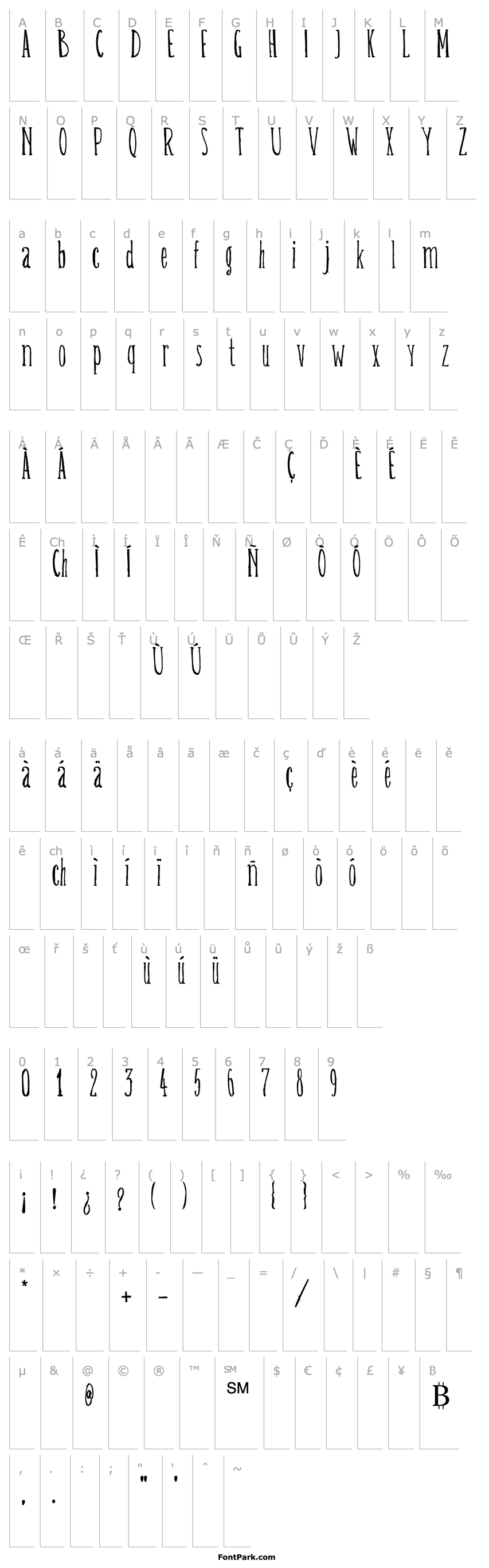 Overview Belisa plumilla manual