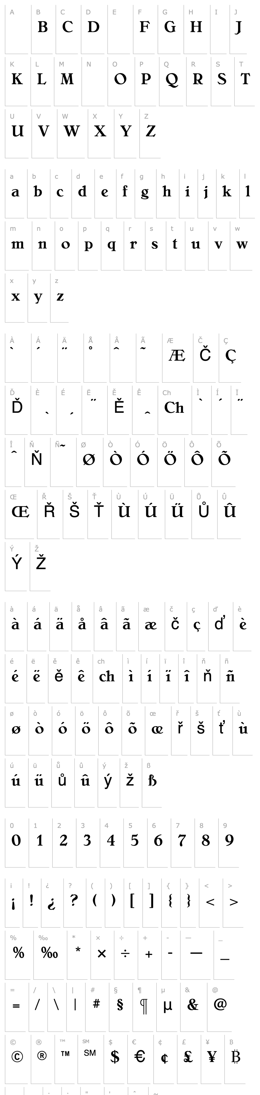 Overview BelliniMedium