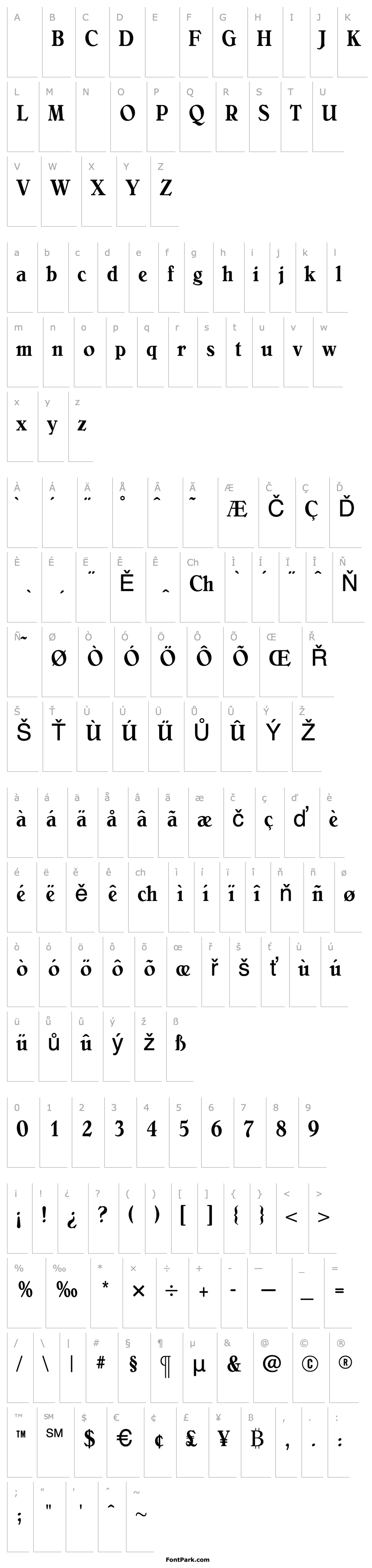 Overview BelliniMediumCondensed