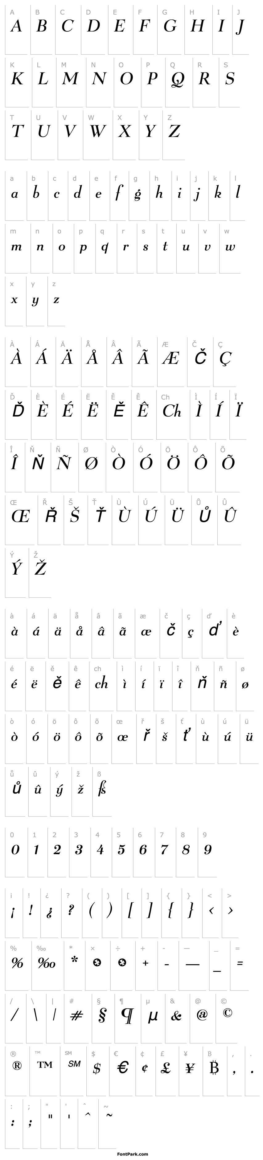 Přehled Belucian-DemiItalic