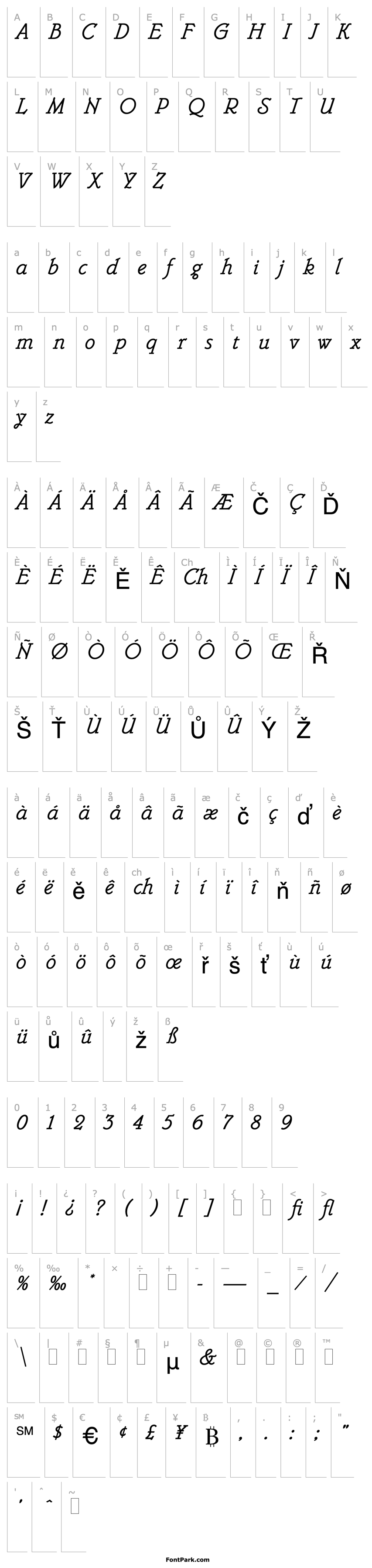 Overview Belwe Mono Italic LET Plain:1.0