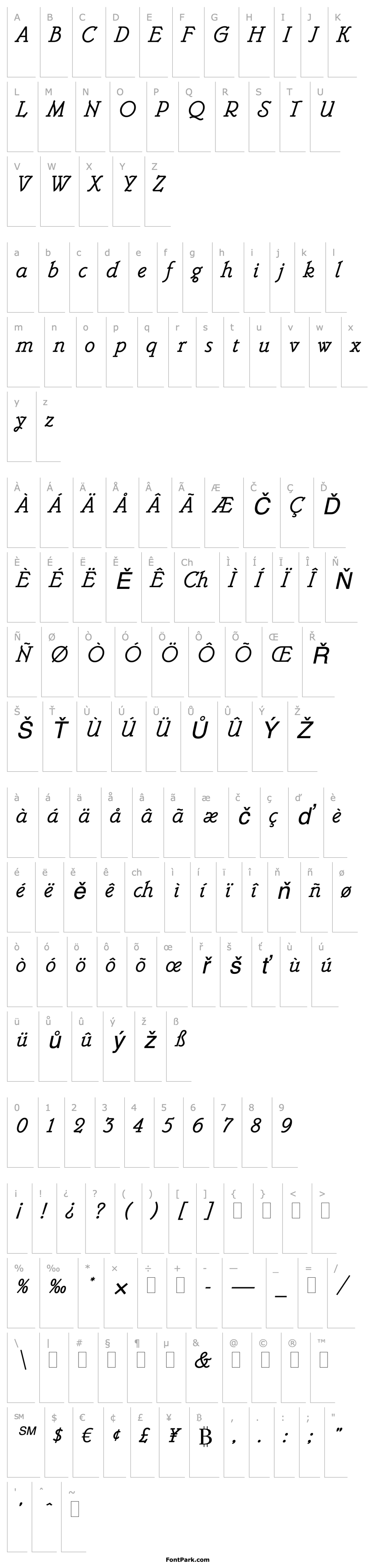 Overview Belwe Mono Italic Plain