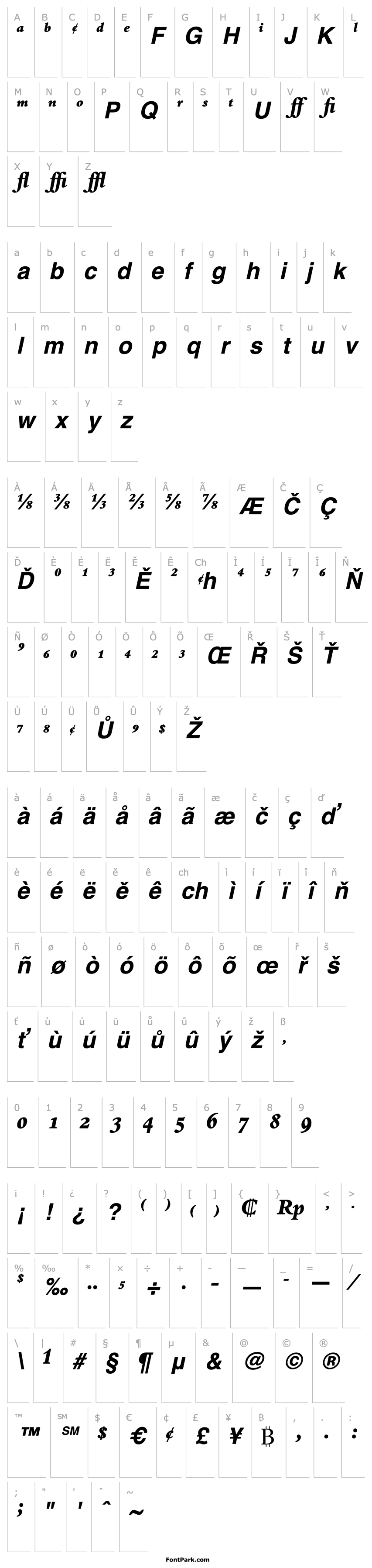 Přehled BemboExpert-ExtraBold Italic