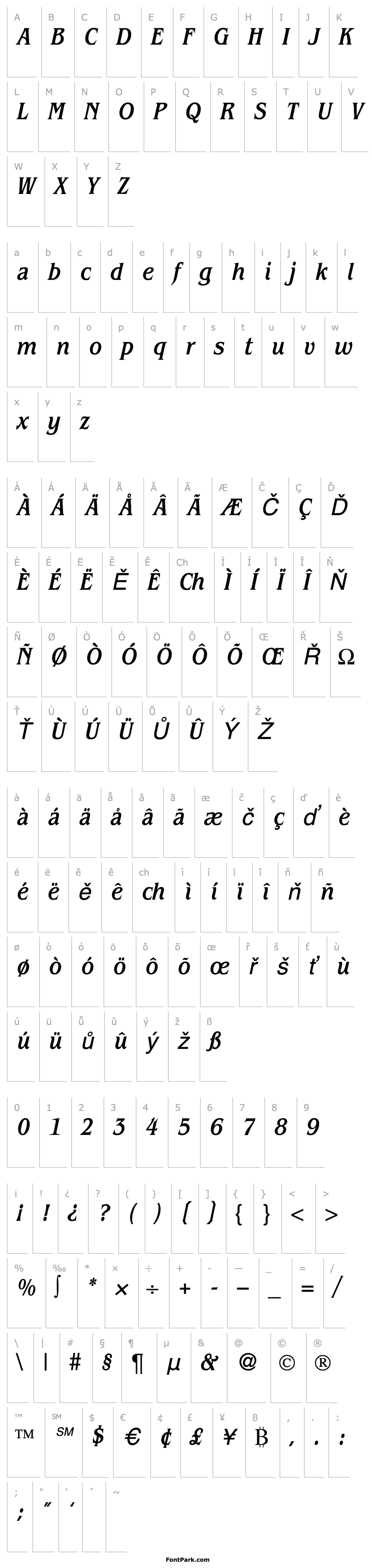 Přehled BenjaminCondMedium-RegularItalic