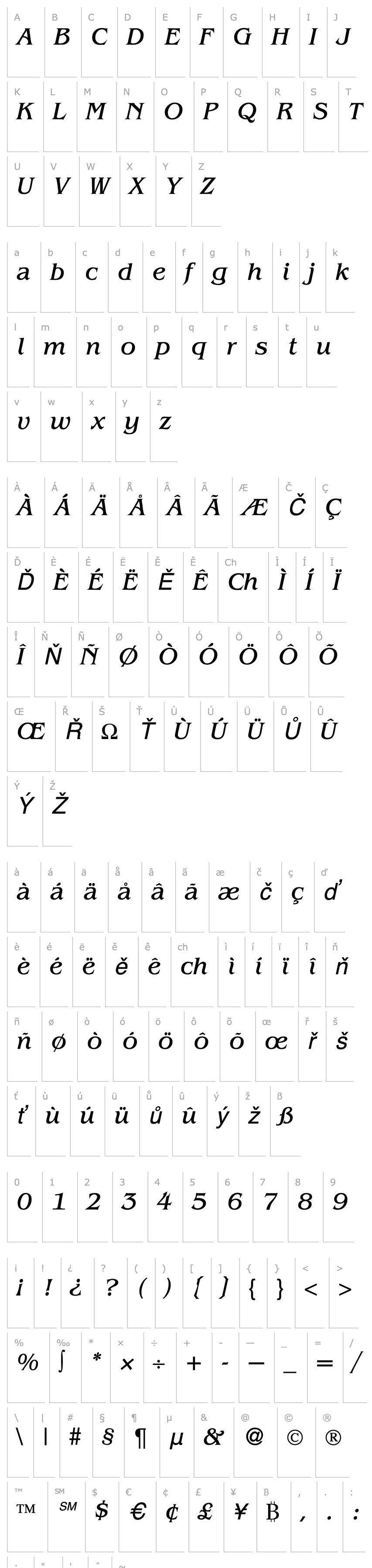 Přehled BenjaminSerif-RegularItalic