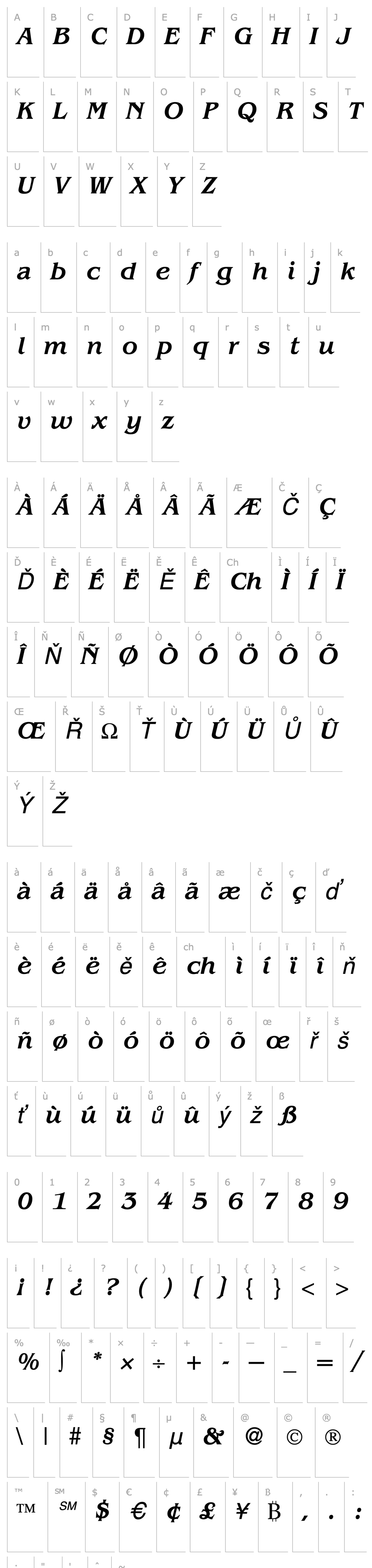 Overview BenjaminSerifMedium-RegularItalic