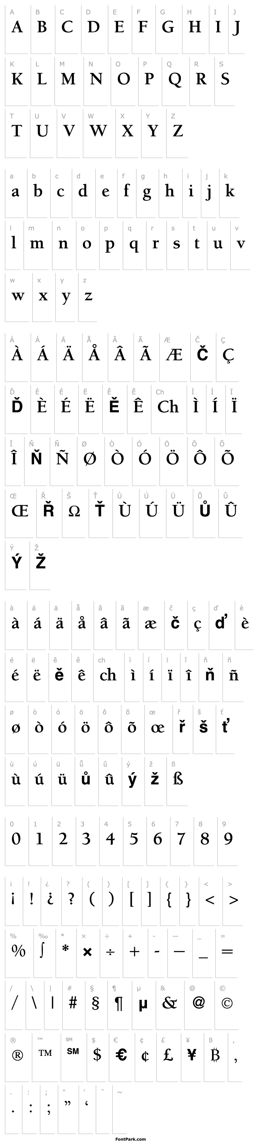 Přehled BergmannOldStyle-Bold