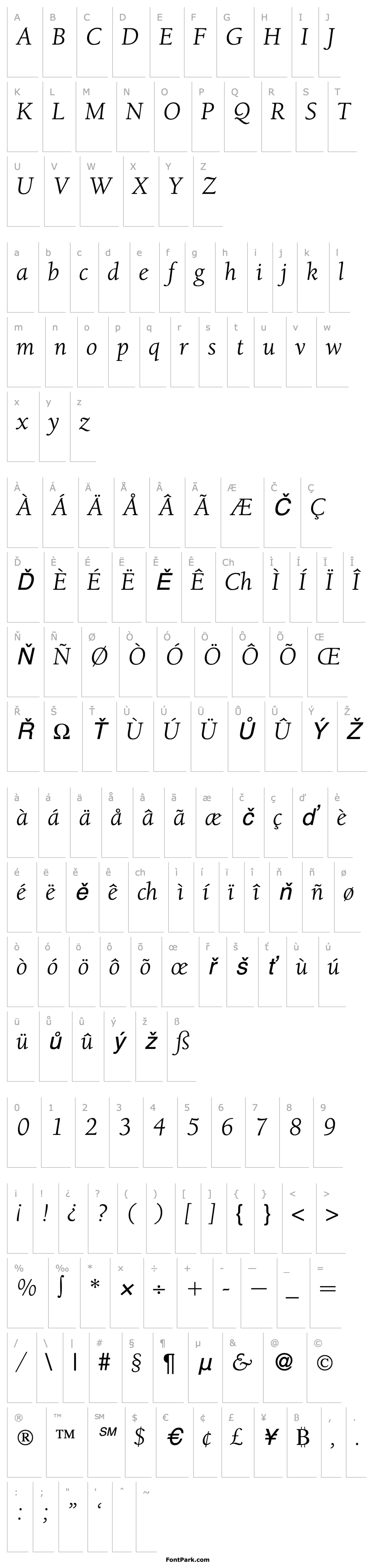 Přehled BergmannOldStyle-RegularItalic