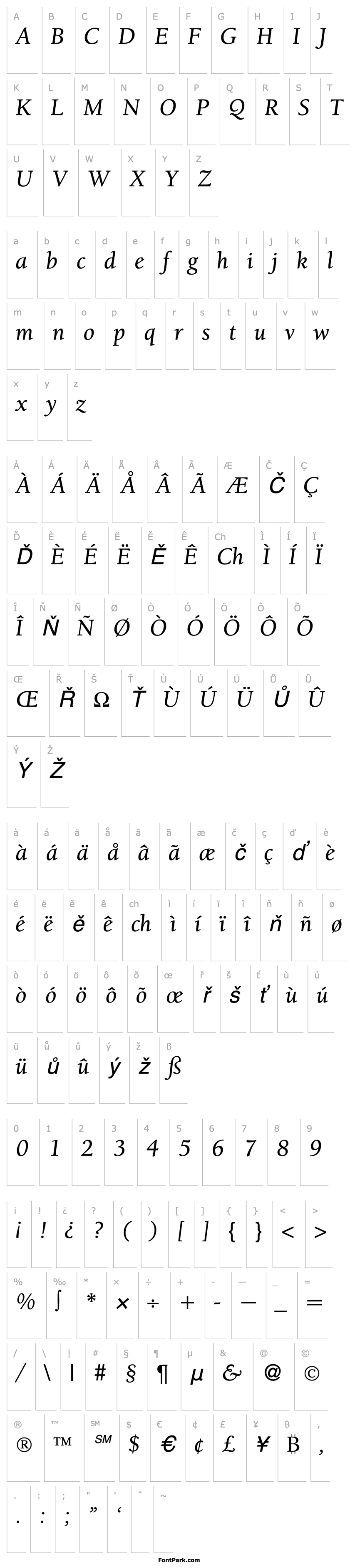 Přehled BergmannOldStyleMedium-RegularItalic