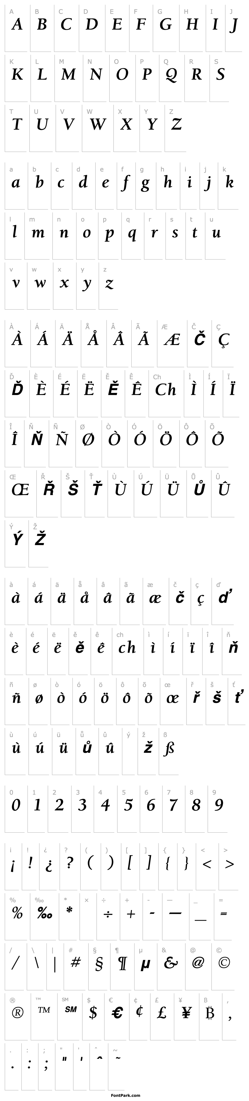 Přehled Berkeley Bold Italic