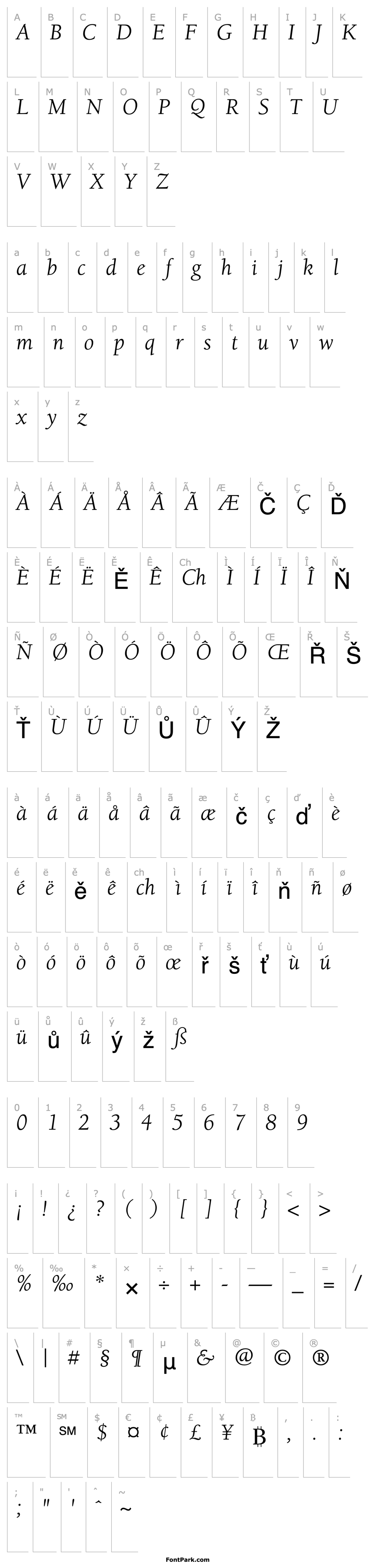 Přehled Berkeley-BookItalic