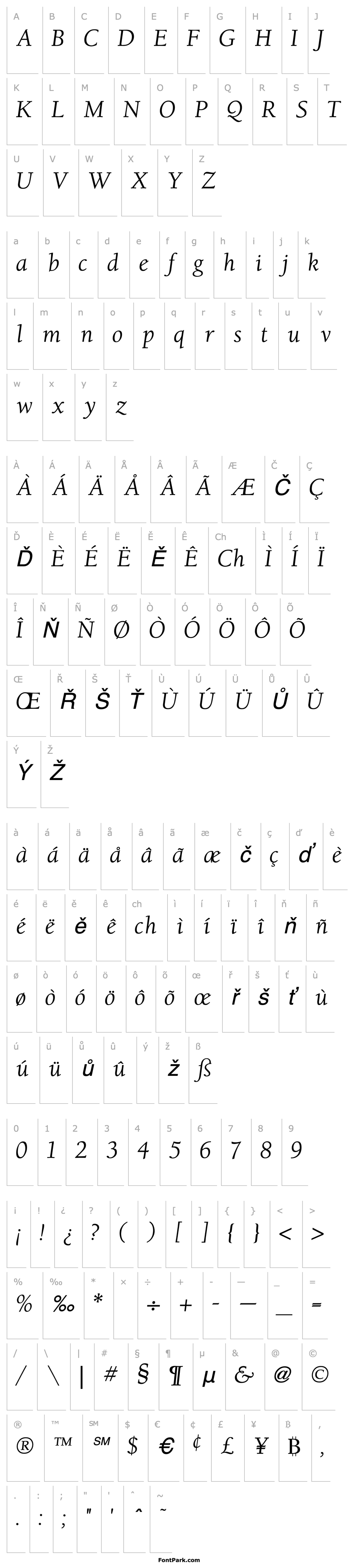 Přehled Berkeley Italic