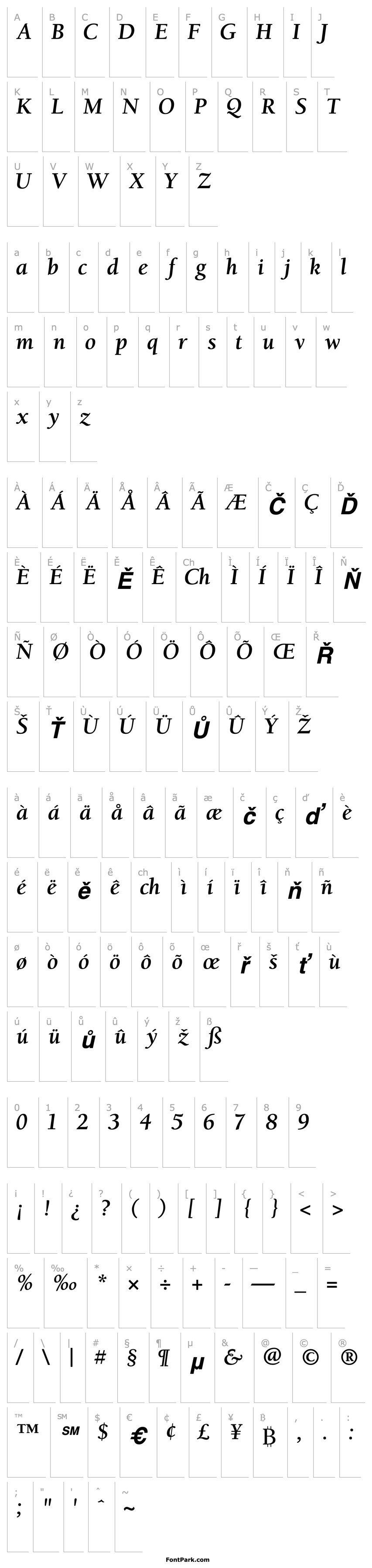 Overview Berkeley Retrospective SSi Bold Italic