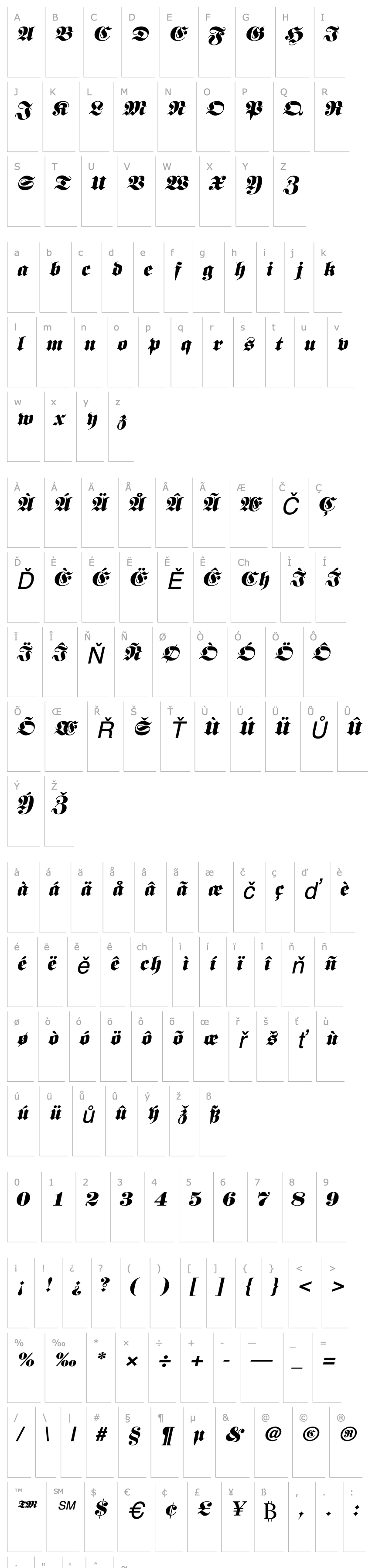 Overview Berliner Italic