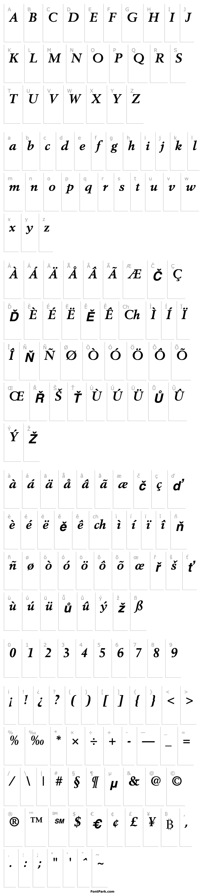 Overview Berling-Bold Italic