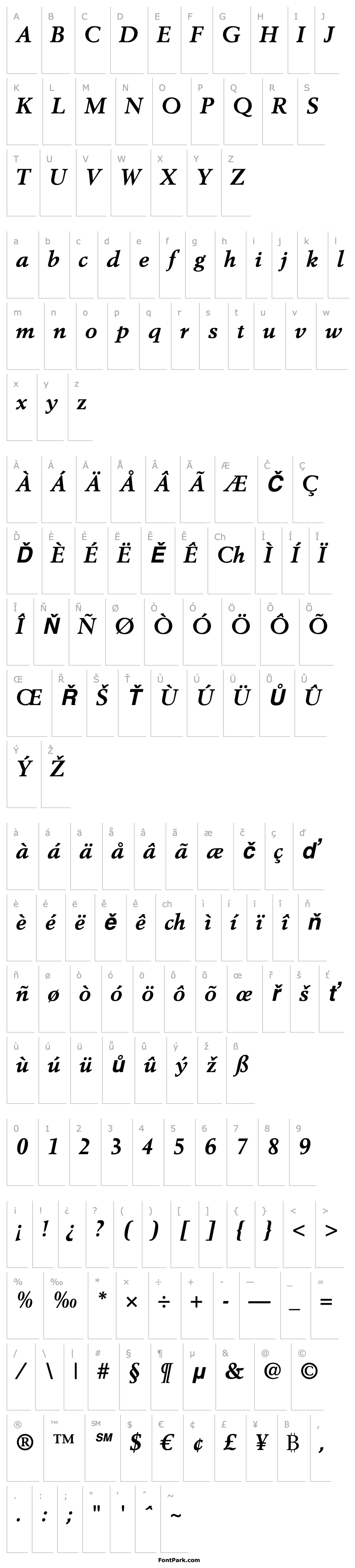 Overview Berling LT Bold Italic