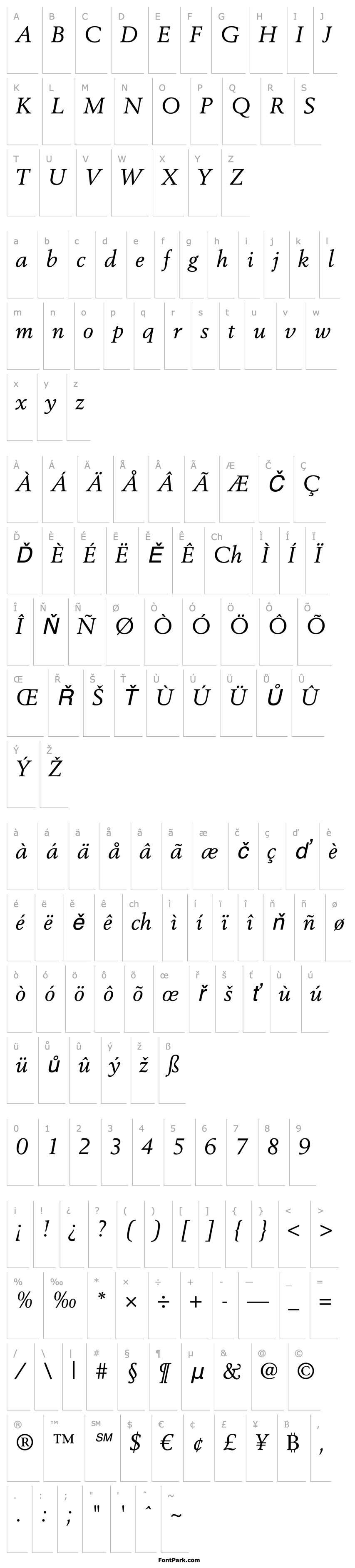 Overview Berling LT Italic