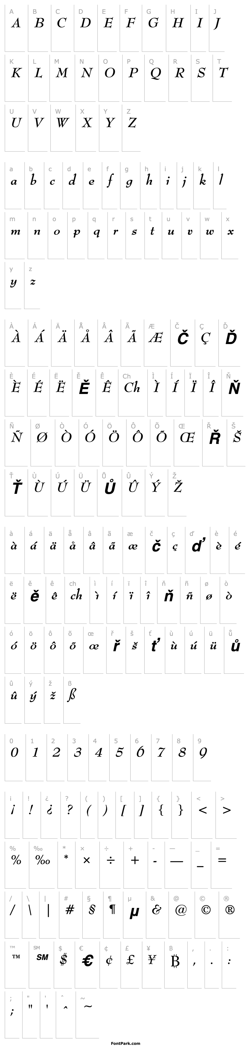 Overview Bernard Bold Italic