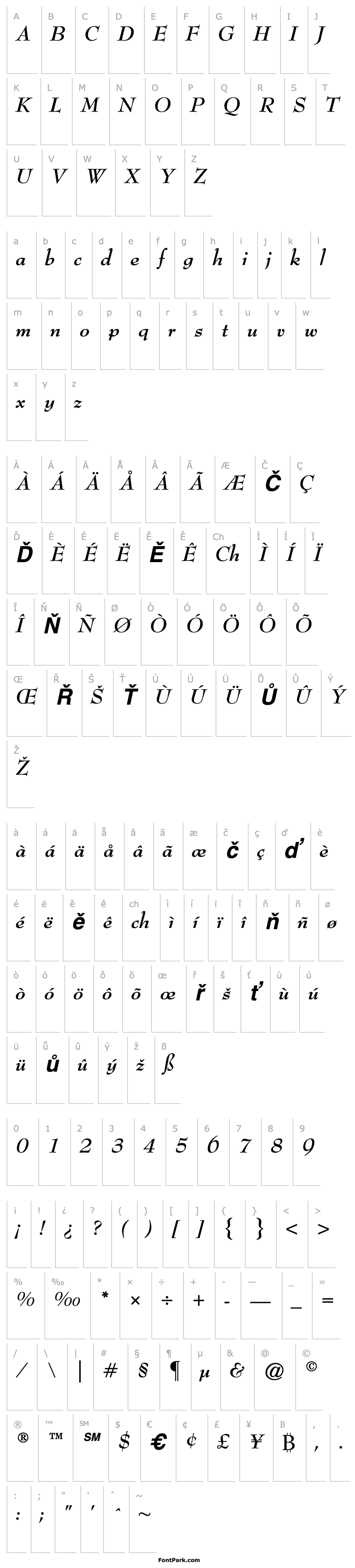 Overview Bernhard Modern Bold Italic