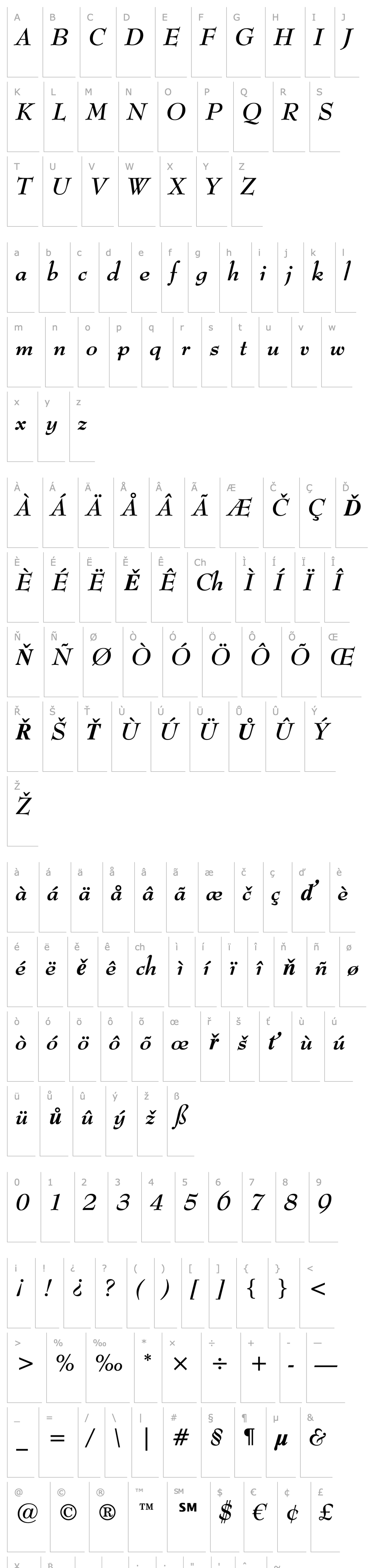 Overview Bernhard Modern Bold Italic BT