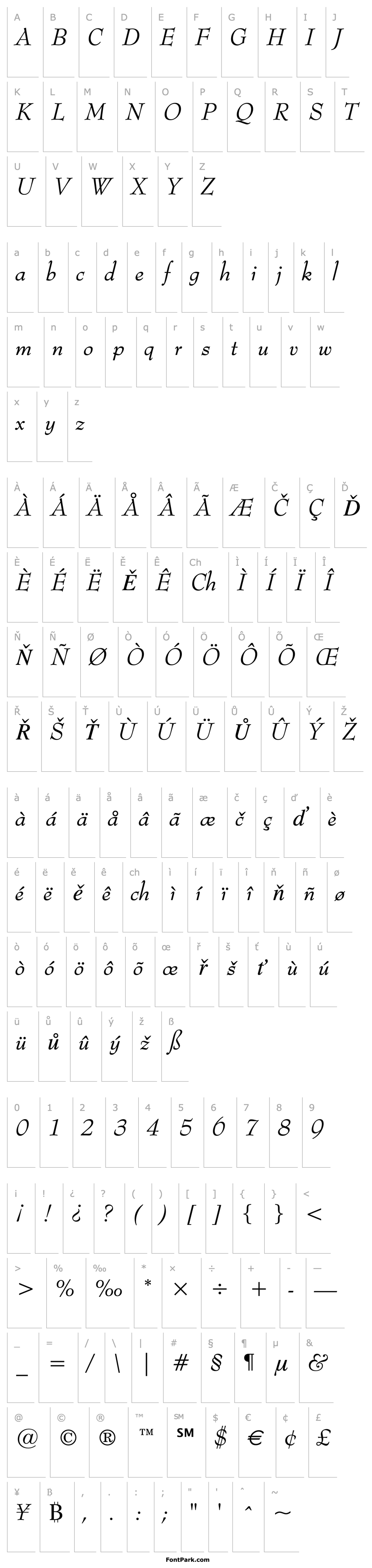 Přehled Bernhard Modern Italic BT