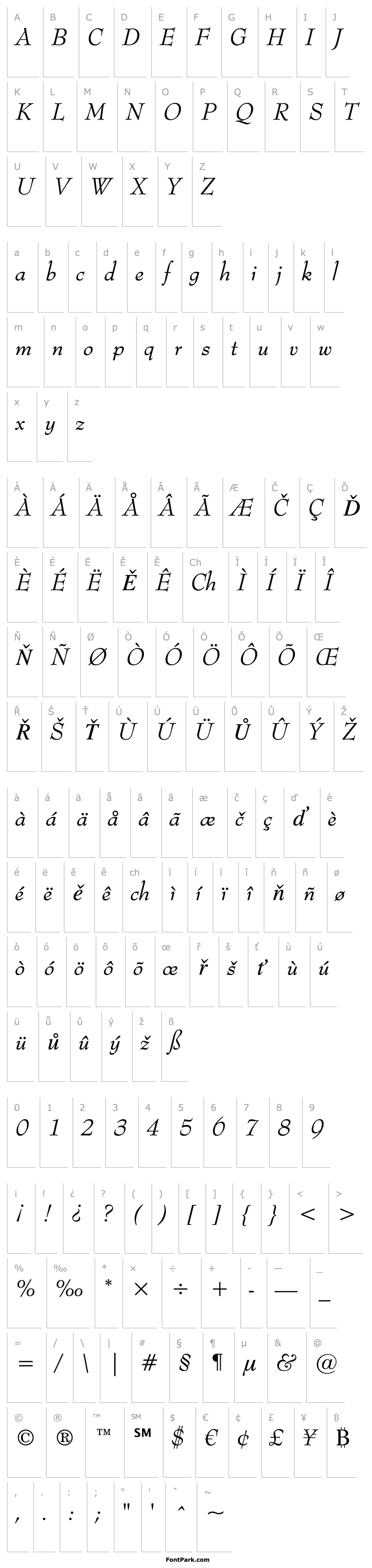 Přehled BernhardMod BT Italic