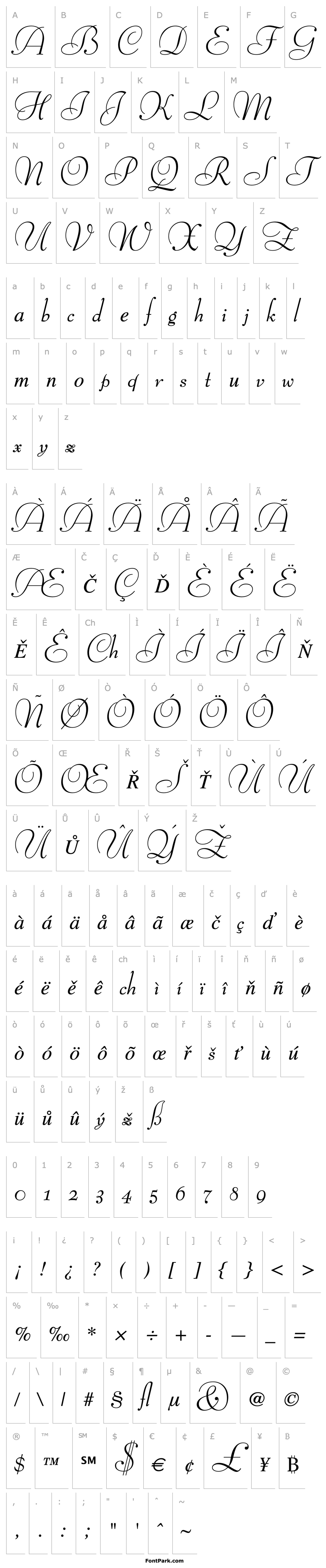 Přehled BernhardMod ItSwash BT Italic Swash