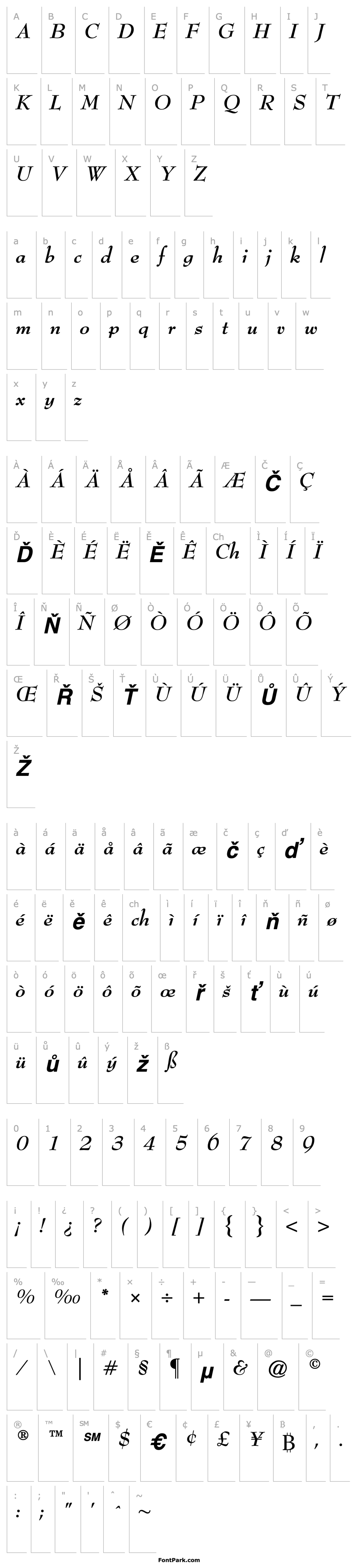 Přehled BernhardModern-Bold Italic