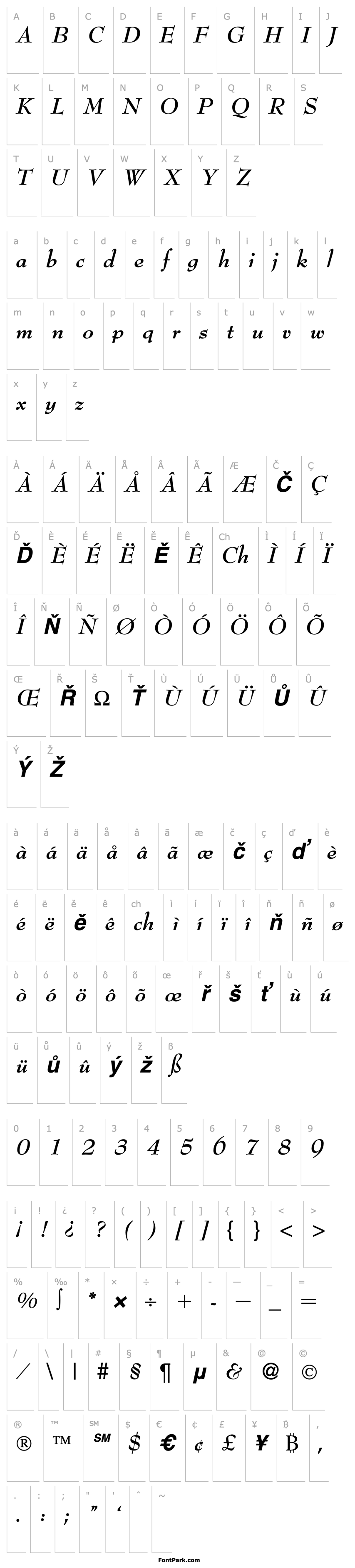 Přehled BernhardModern-BoldItalic