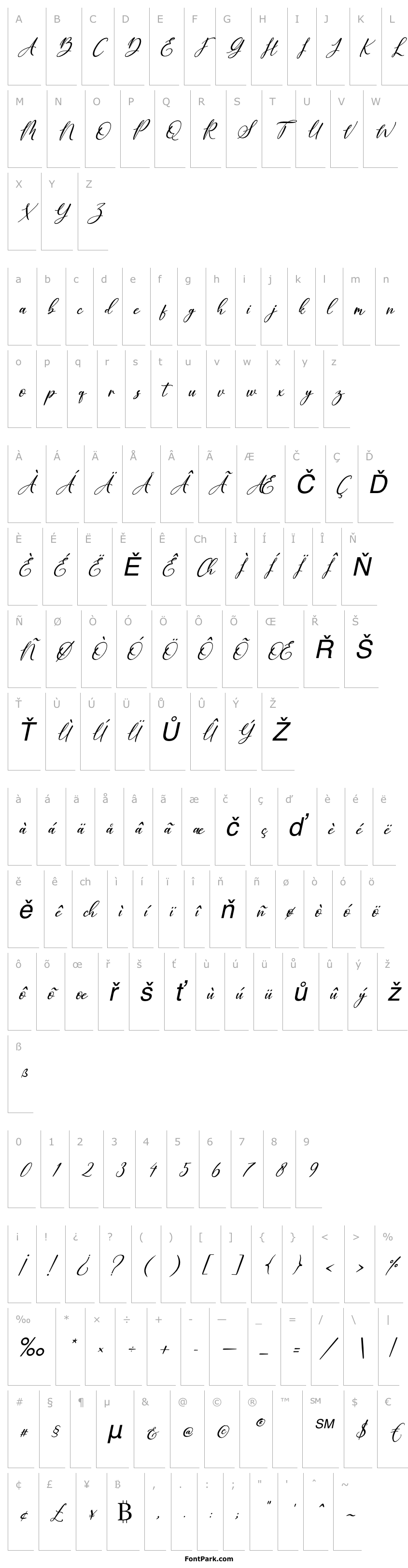 Přehled Berthalia Italic