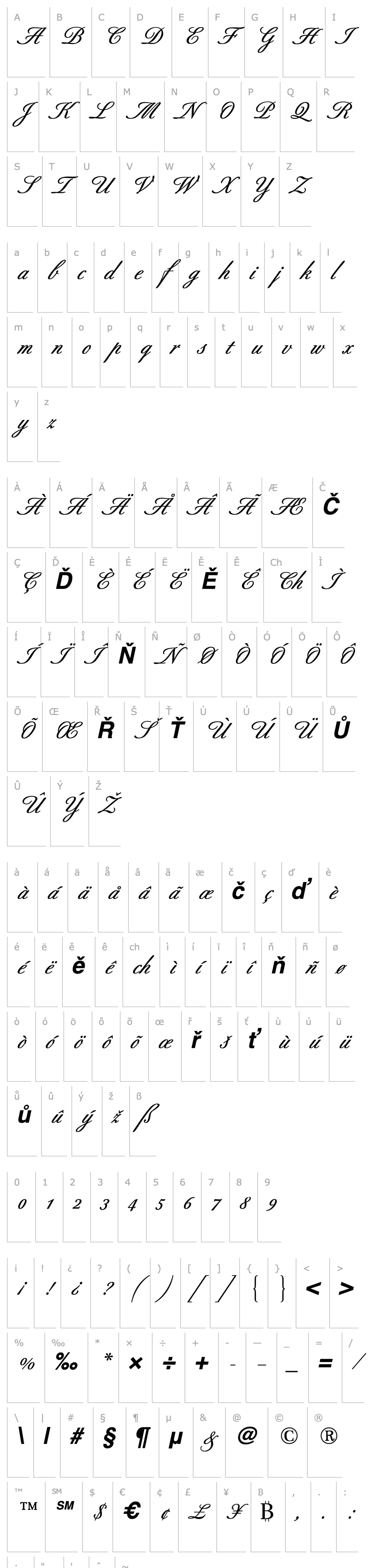 Overview Berthold Script Medium