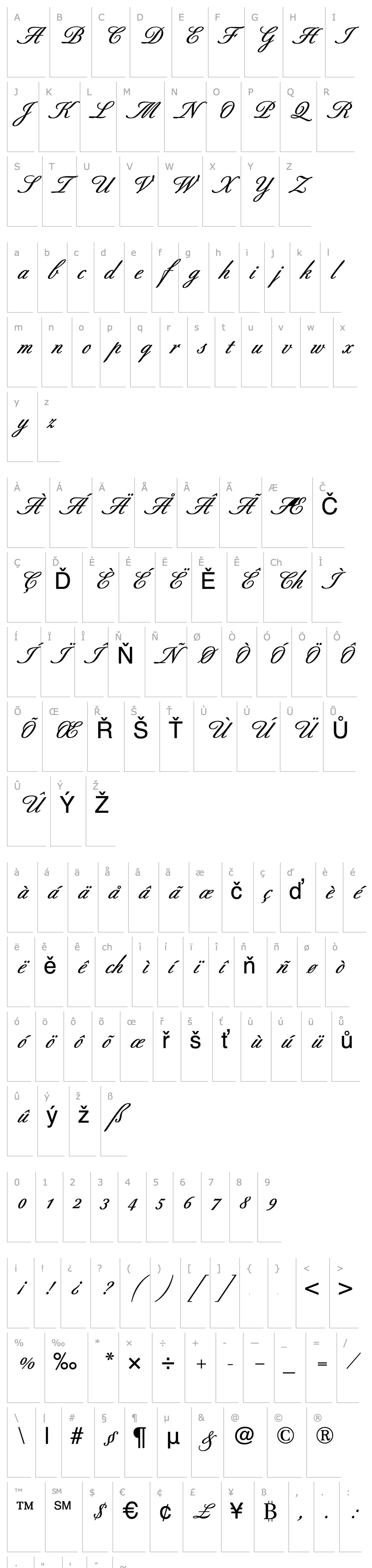 Overview Berthold Script (R) Medium