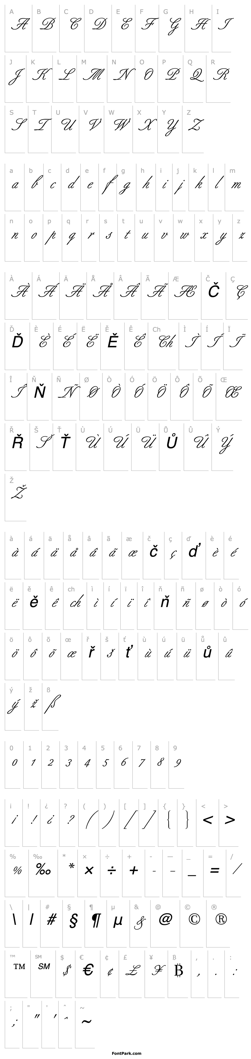 Přehled Berthold Script Regular