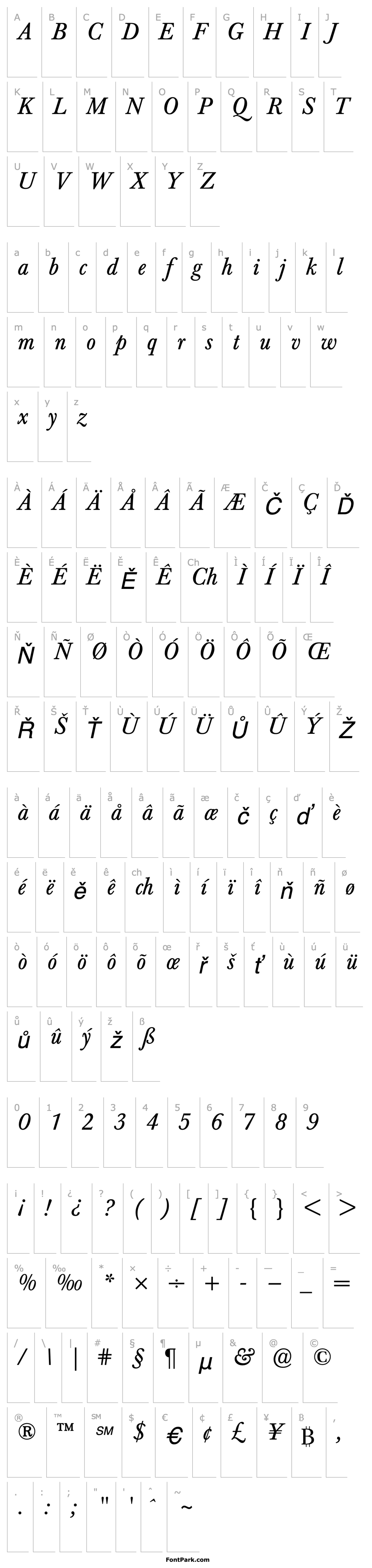 Přehled BertholdBaskerville-Italic