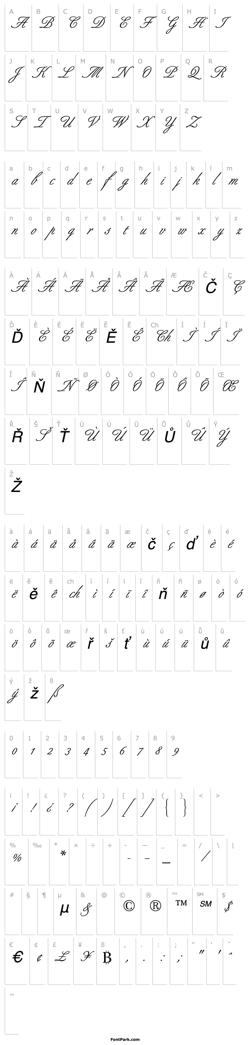 Přehled BertholdScript Italic