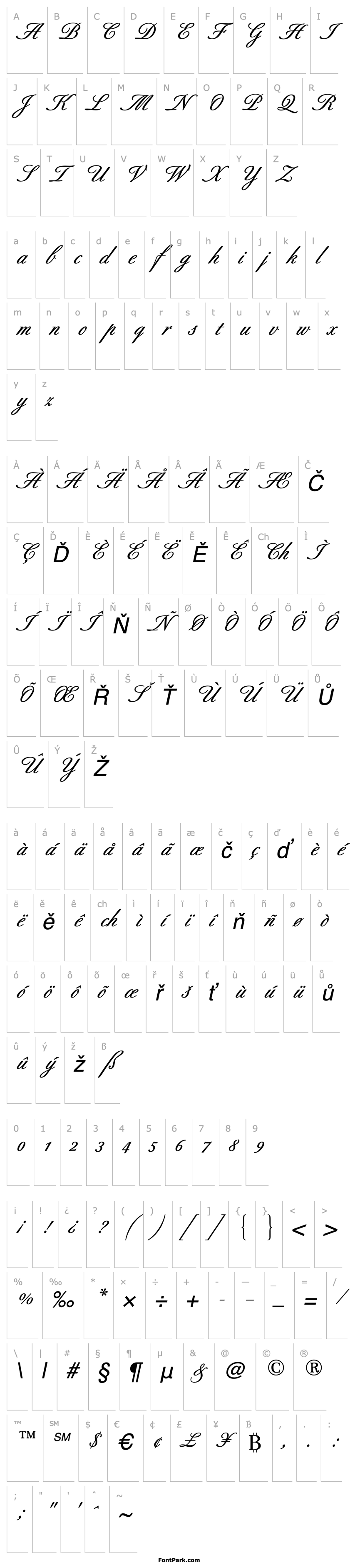 Overview BertholdScript-Medium