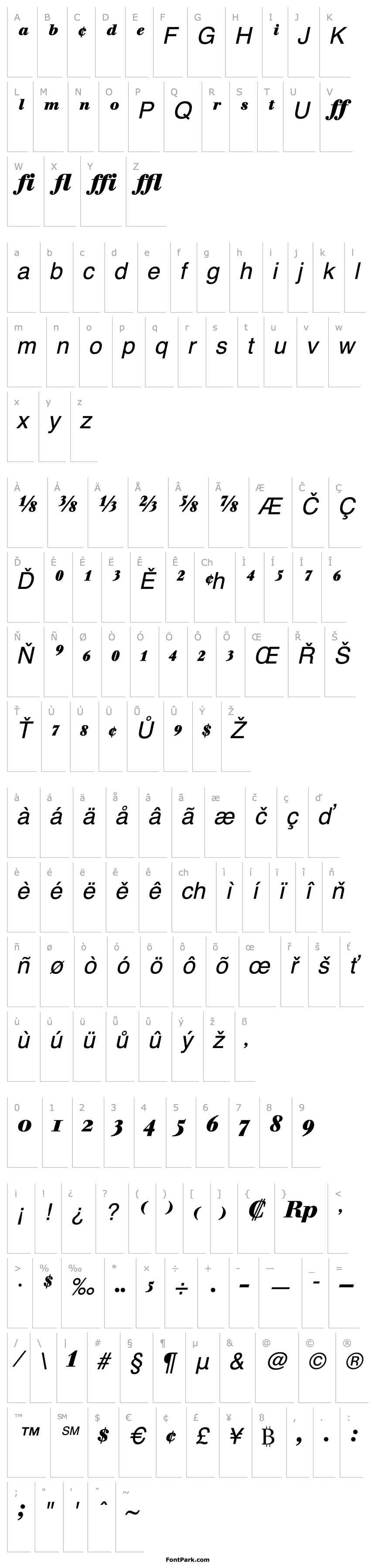 Overview BertholdWalbaumBoldExpert-Book Italic