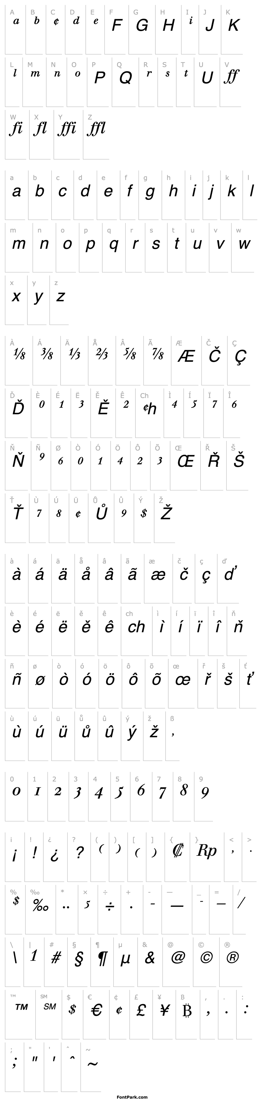 Overview BertholdWalbaumExpert-Book Italic