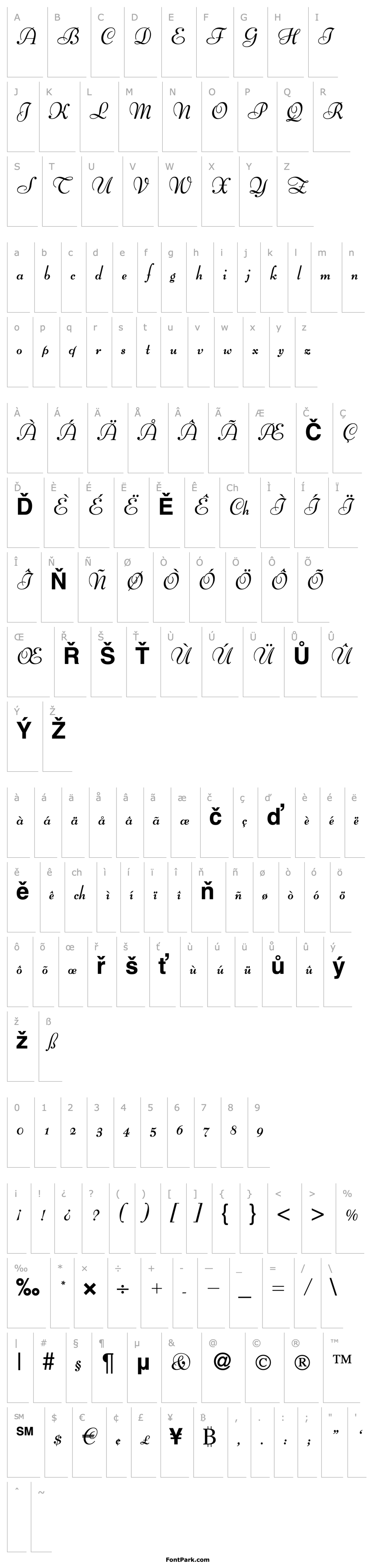 Overview BertScriptDB Bold