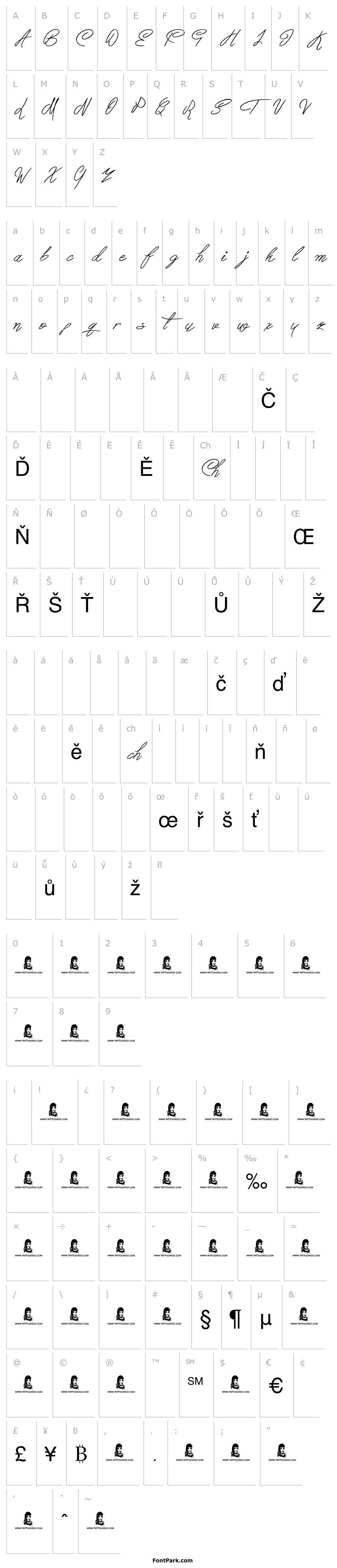 Overview Berty Script