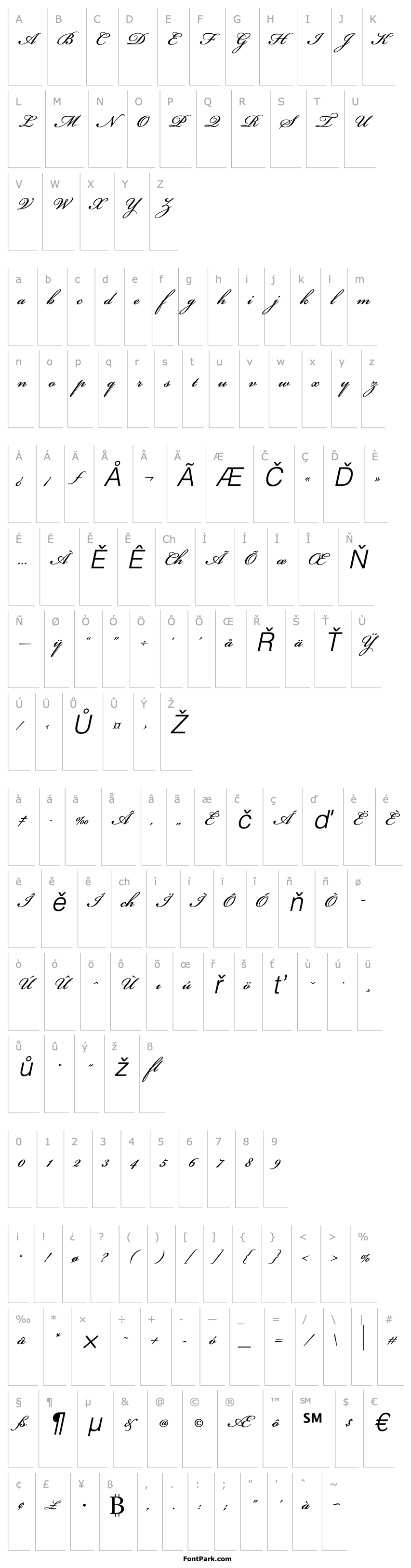 Přehled Bickham Script